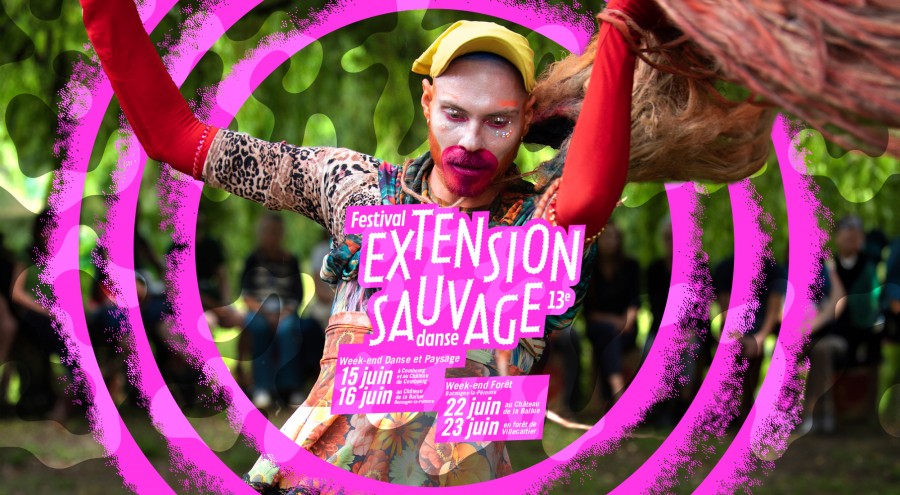  / Extension Sauvage - 